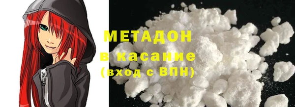 прущие грибы Рославль
