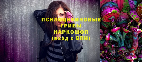ешки Алексеевка