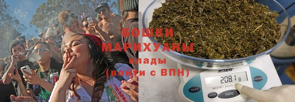 прущие грибы Рославль
