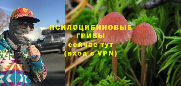 ешки Алзамай