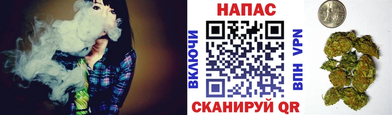 Бошки марихуана AK-47 Бологое